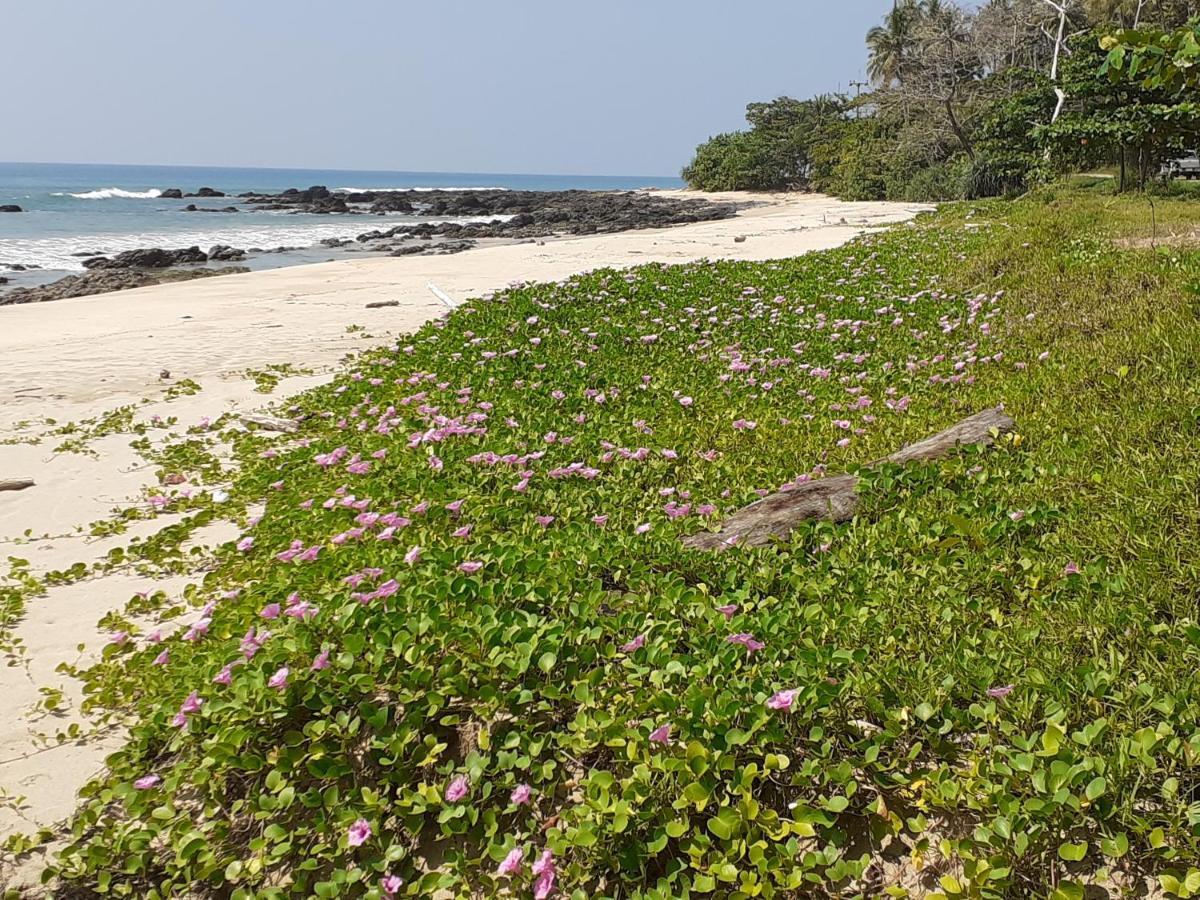 Lanta Daisy Residence Ko Lanta Eksteriør billede