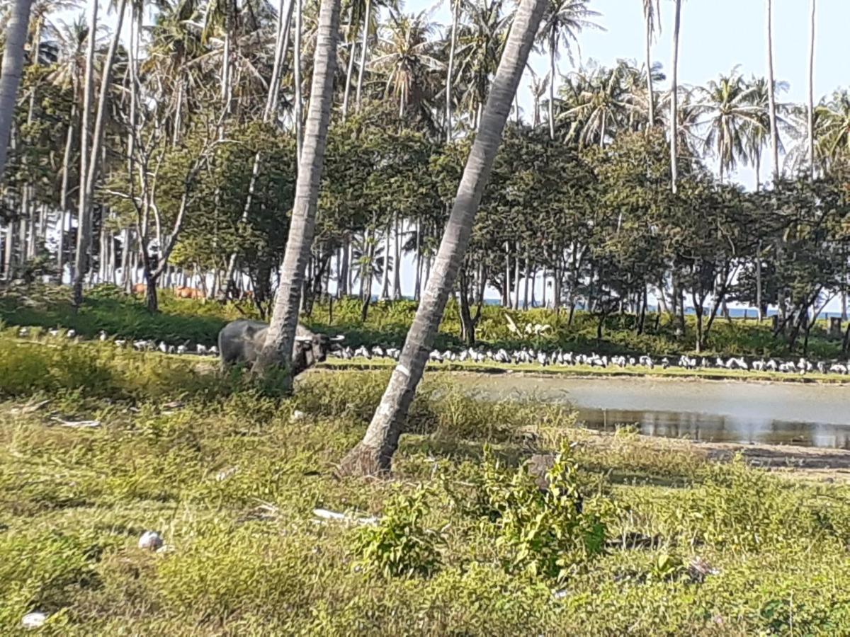 Lanta Daisy Residence Ko Lanta Eksteriør billede